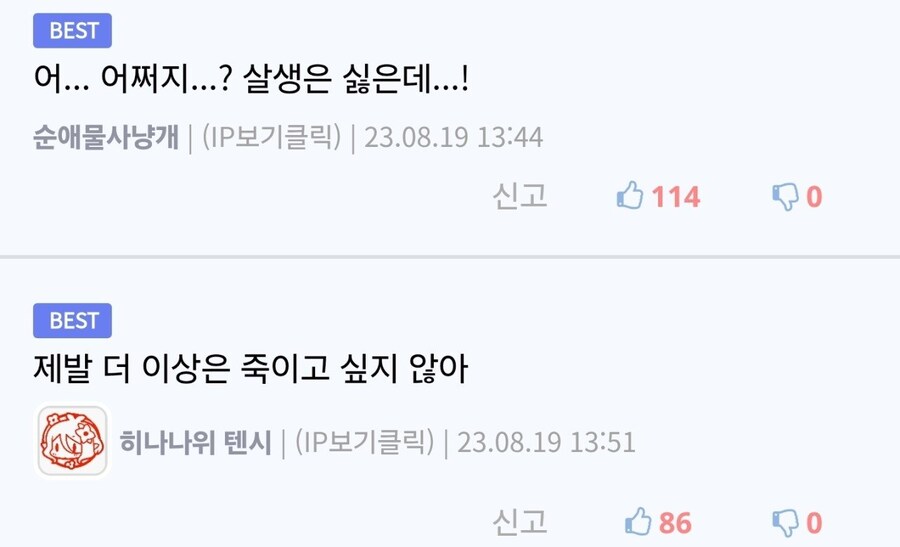 육식동물들에게 포위당한 초식동물 무리.jpg_6.jpg