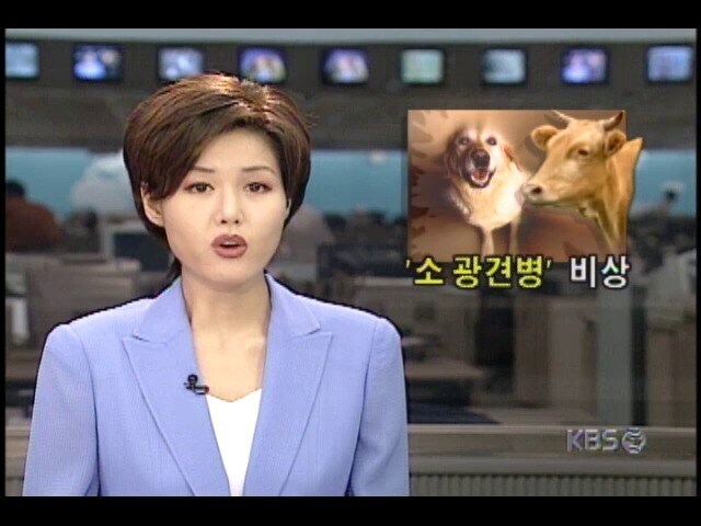 개가 걸리면 광견병, 소가 걸리면?_1.jpg