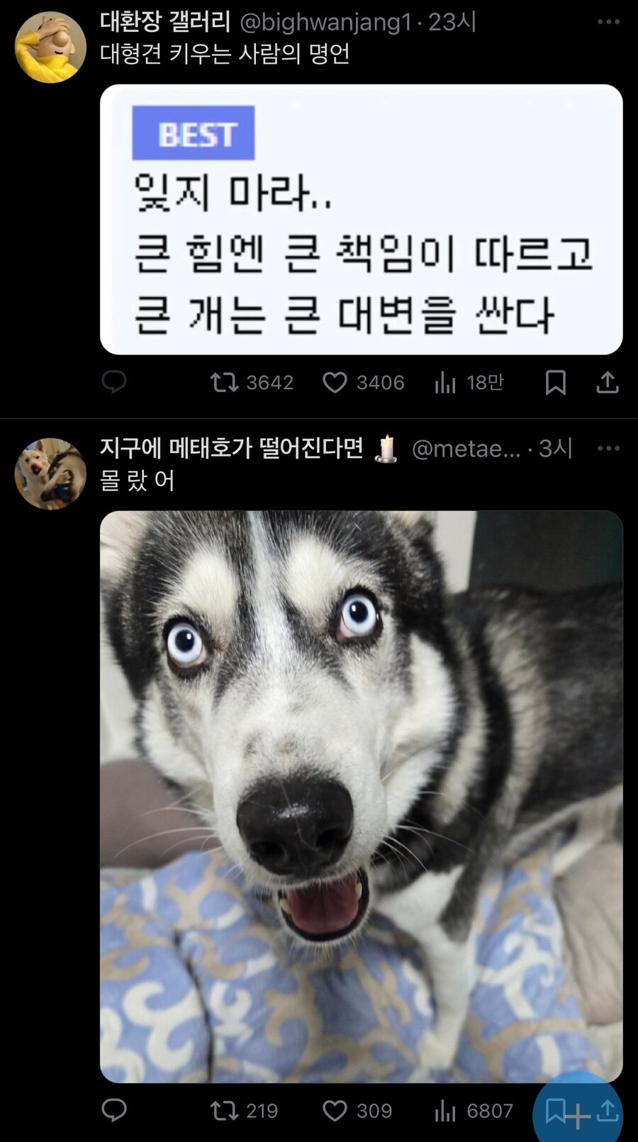 대형견 키우는 사람의 명언_1.jpg