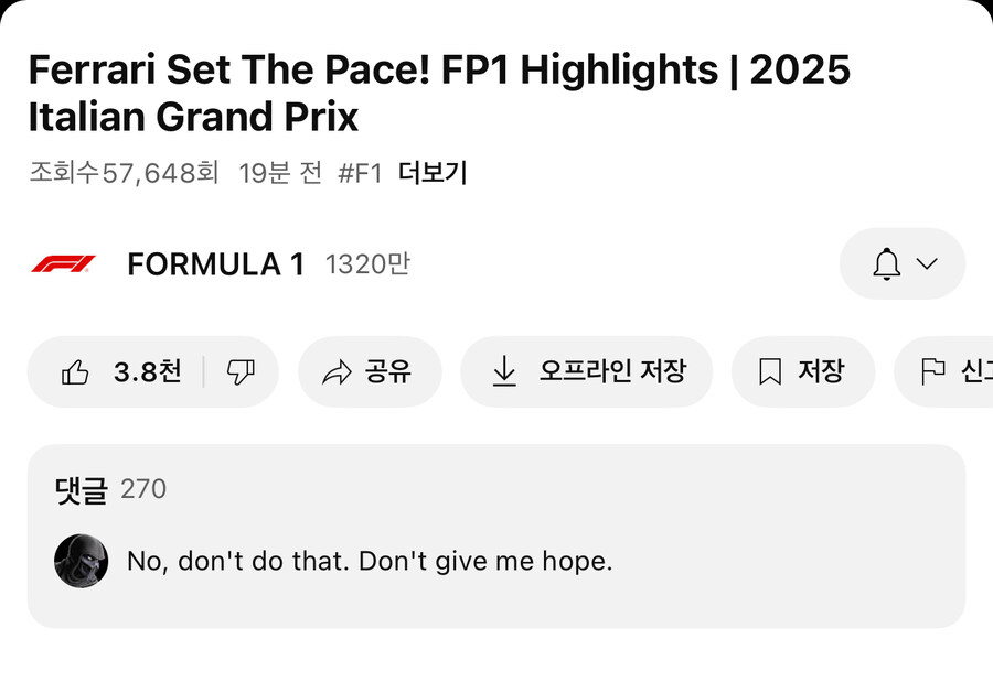 F1) 이탈리아 그랑프리 FP1 하이라이트에 달린 댓글_1.jpg