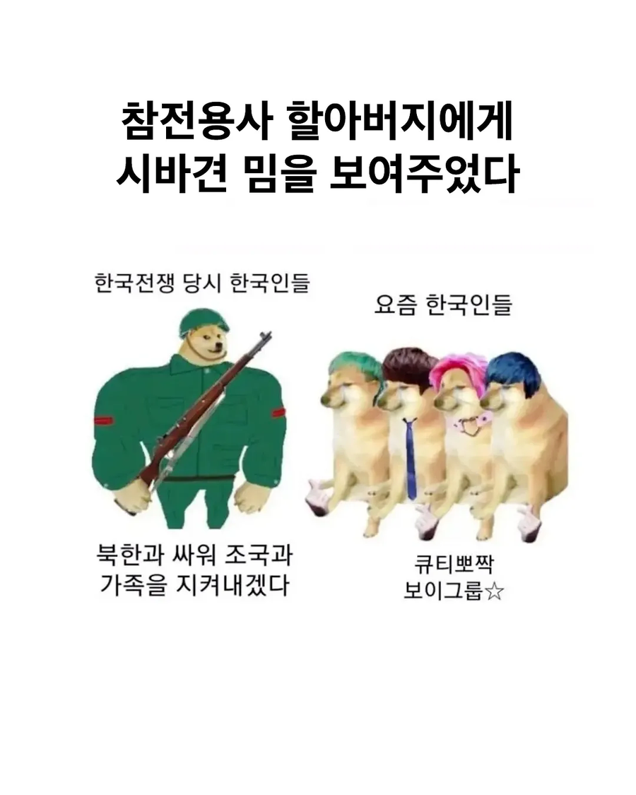 참전용사 할아버지께 시바견 밈을 보여드렸더니_1.webp