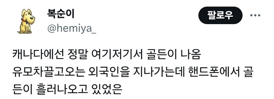 케데헌 유행후 해외 거주 중인 한국인이 겪은 일.twt_2.jpg