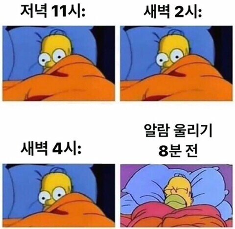 잠이 가장 잘 오는 순간_1.png
