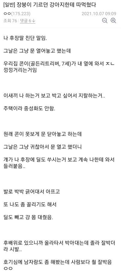 고전)기르던 개에게 따/먹힌 디씨인_1.jpg
