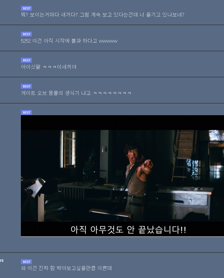 ㅇㅇ : ㅆ발 대체 동물 성기짤은 얼마나 저장하길래..._2.jpg