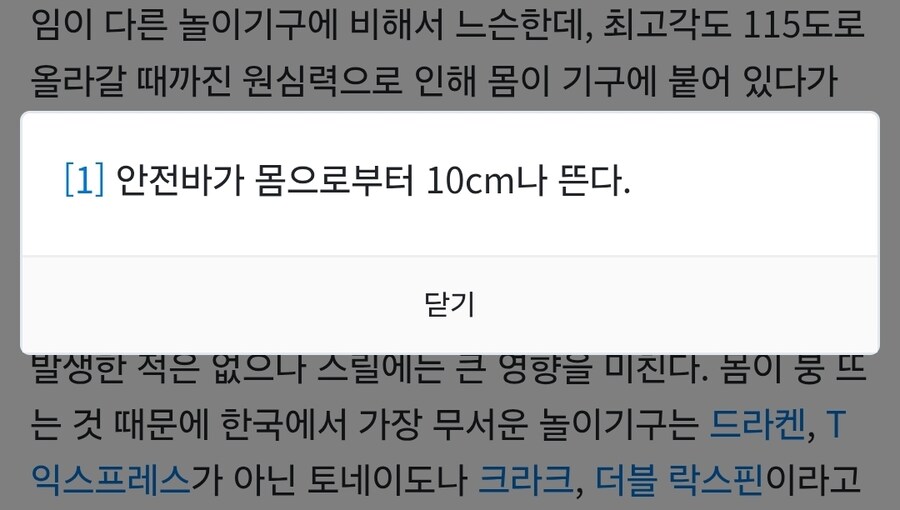 진짜 죽을 것 같다는 놀이기구_10.jpg
