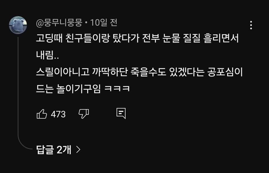 진짜 죽을 것 같다는 놀이기구_2.jpg