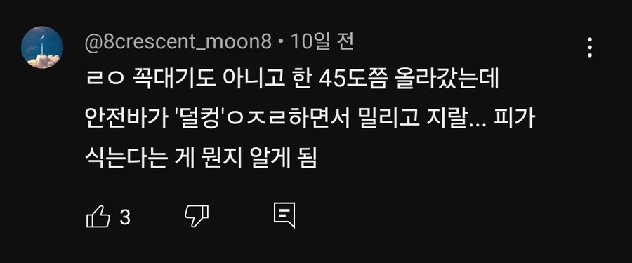 진짜 죽을 것 같다는 놀이기구_8.jpg