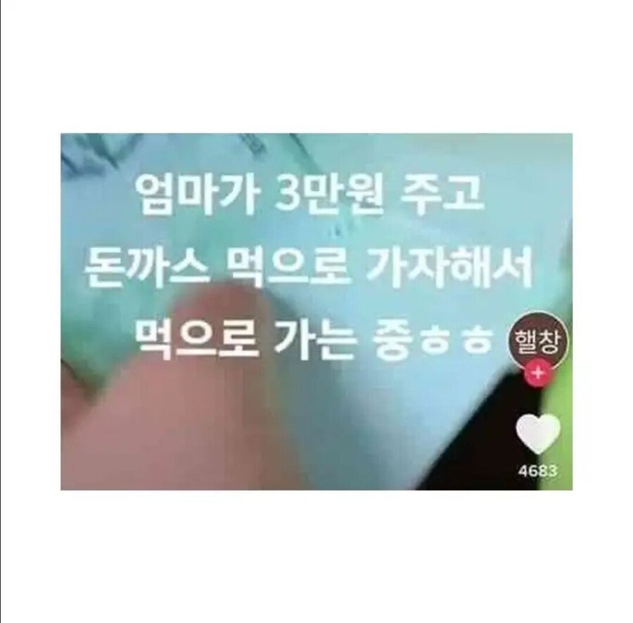 사기 당한 유튜버... 결국 휴방..._1.jpg