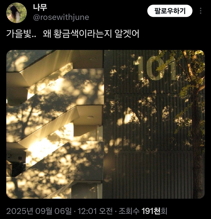 가을빛이 황금색이라고 불리는 이유.jpg_1.jpg