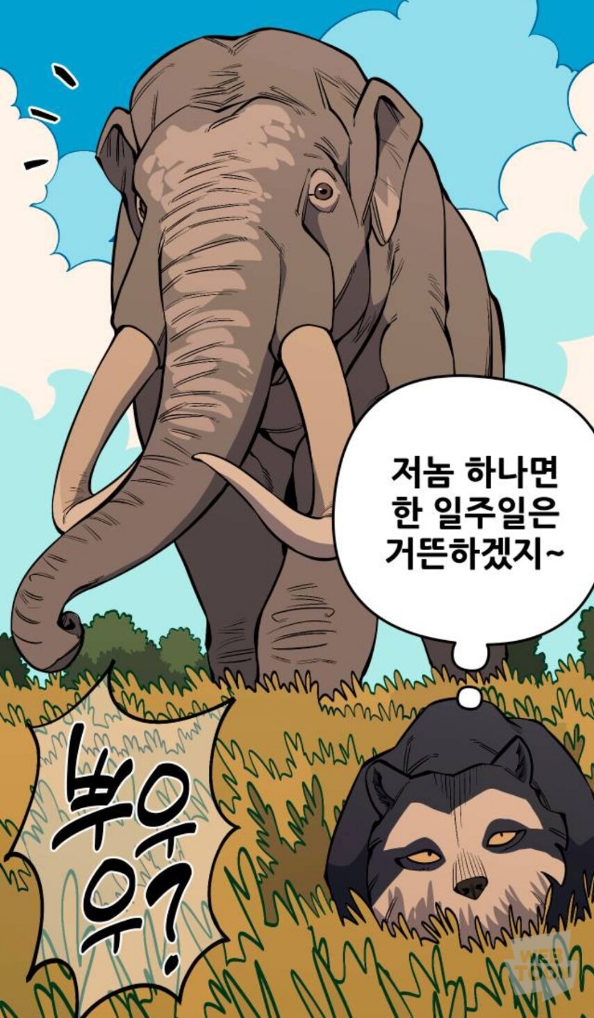 새끼 코끼리를 사냥하는 곰_1.jpg
