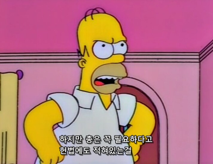 미국인들이 총을 포기하지 못하는 이유_7.png
