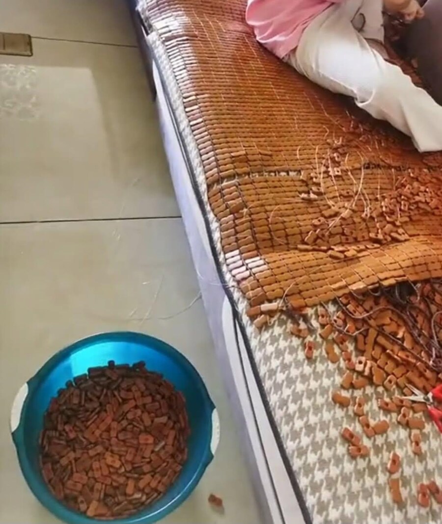 광기의 자리를 세척하고 싶었던 사람의 대나무_2.png