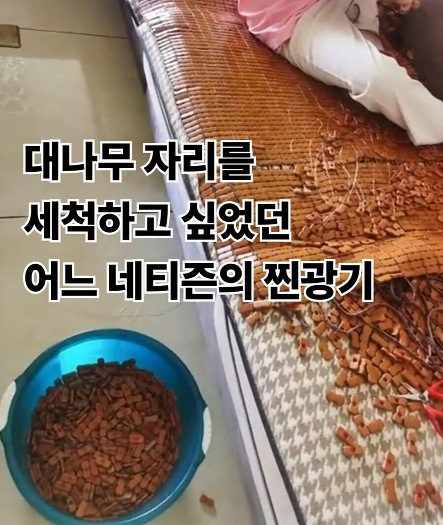 광기의 자리를 세척하고 싶었던 사람의 대나무_1.png