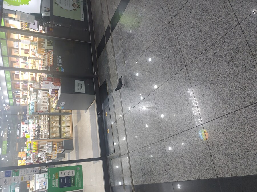 와 서울 여행 오니까 지방이랑 완전 다르네_1.jpg