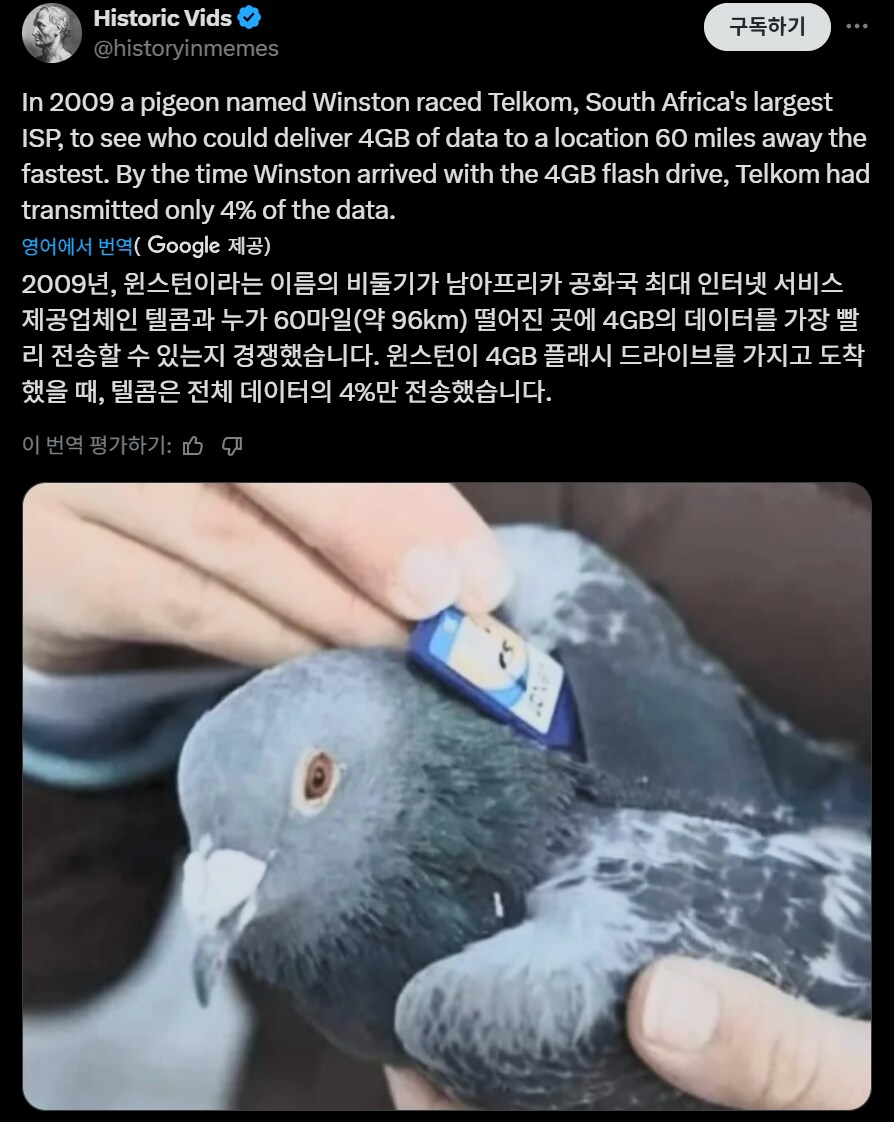 인터넷 VS 전서구_1.png