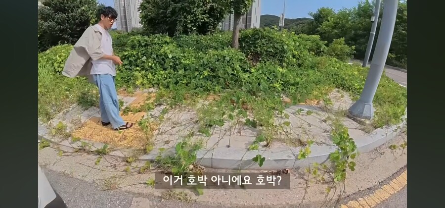 관리가 안되는 인도의 현실_6.jpg