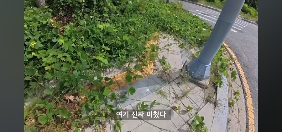 관리가 안되는 인도의 현실_7.jpg