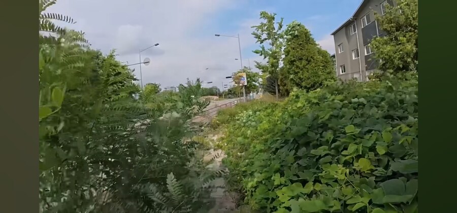 관리가 안되는 인도의 현실_9.jpg