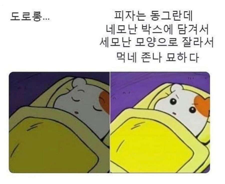 알다가도 모르겠는 피자의 진실_1.png
