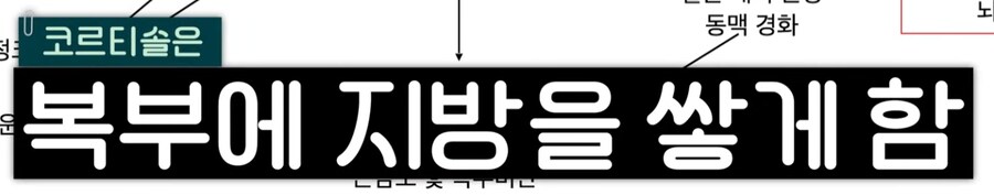 일좀 더 한다고 죽냐?_12.png