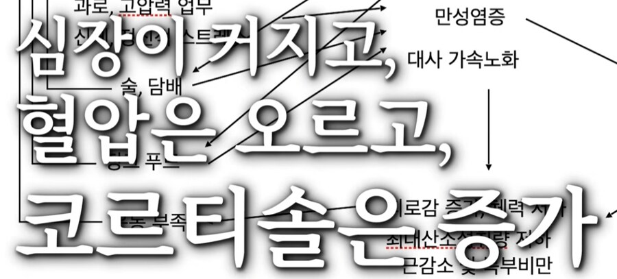 일좀 더 한다고 죽냐?_13.png