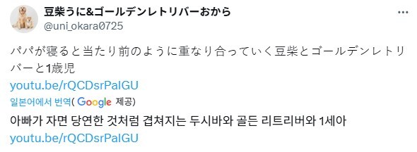 최고의 휴일을 보내는 모습_1.jpg