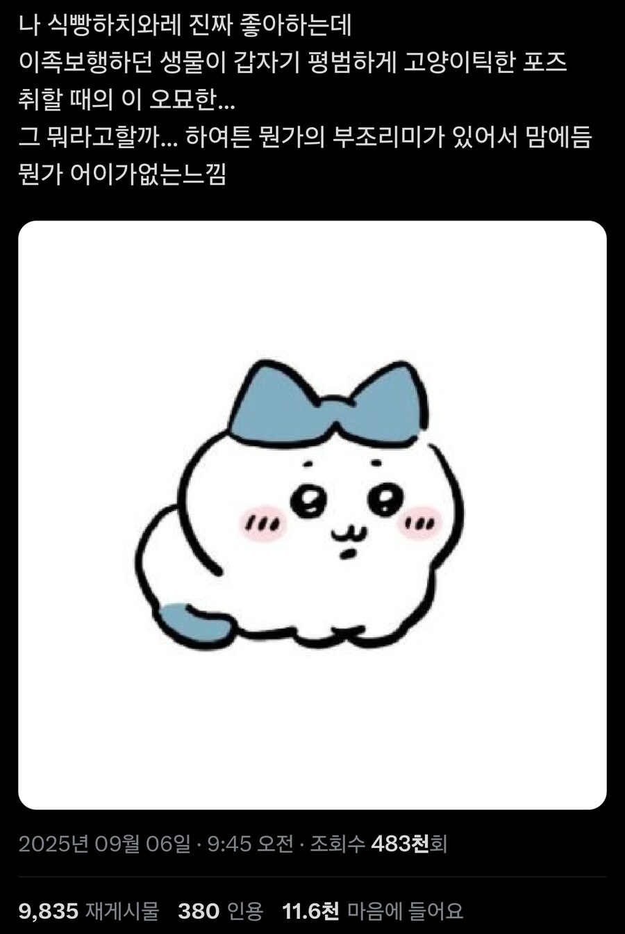 치이카와 인기캐릭_1.jpg