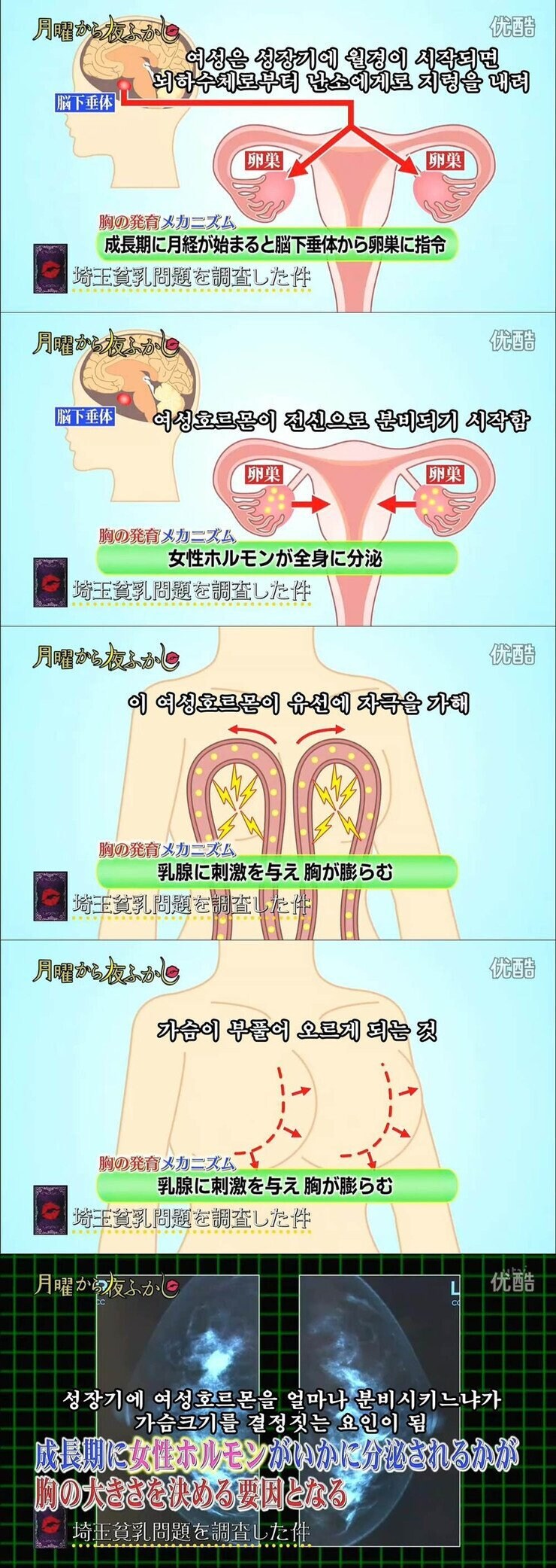 시골 여자들이 가슴 큰 이유_2.jpg