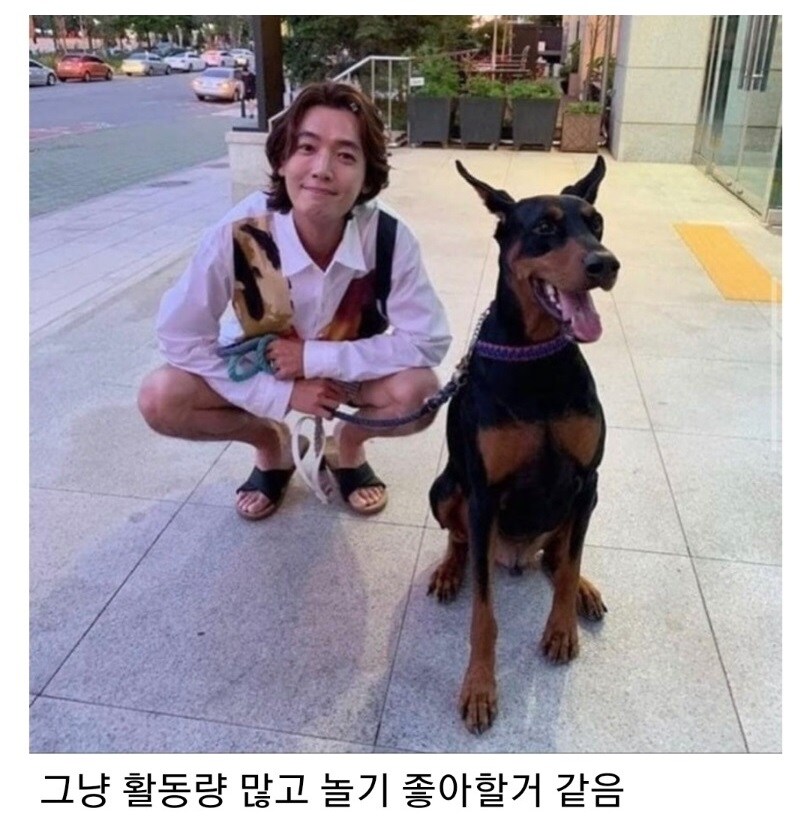 같은 개 다른 느낌_1.jpg