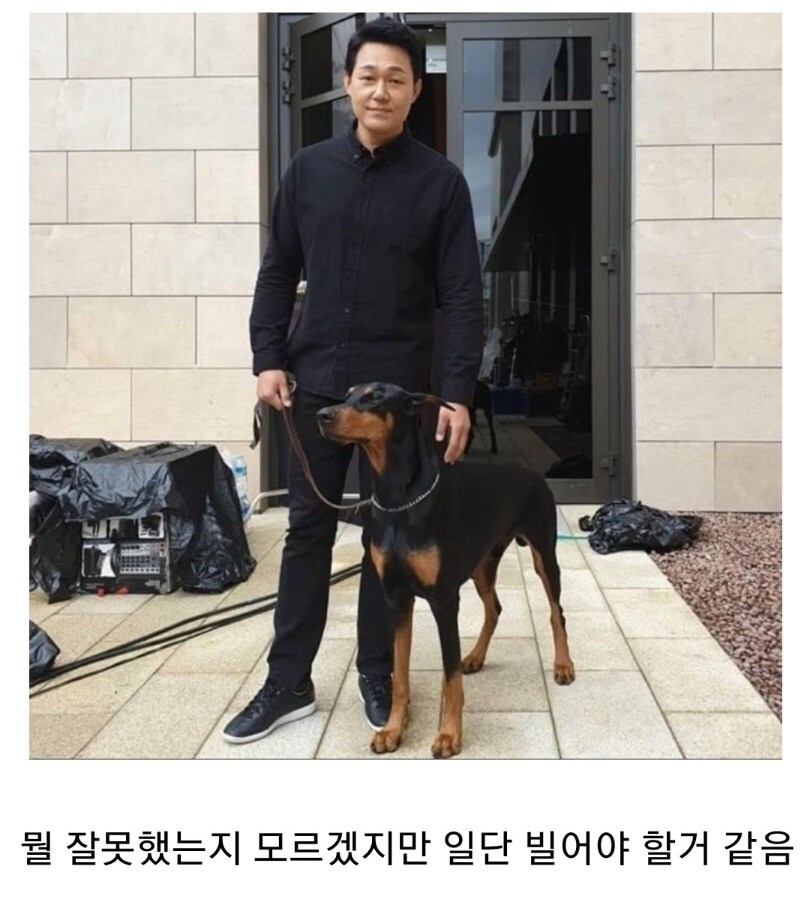같은 개 다른 느낌_2.jpg