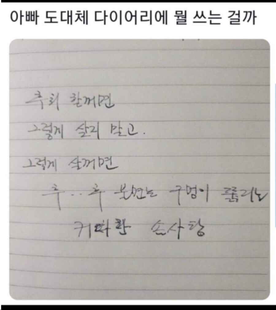 아빠 도대체 다이어리에 뭘 쓰는걸까_1.jpg
