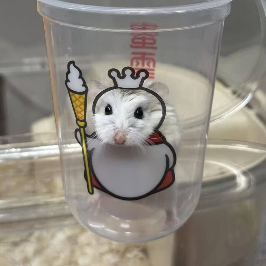 씨앗다머거스 3세_1.jpg