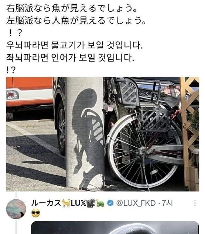 물고기나 인어가 보인다는 사진 jpg._1.jpg