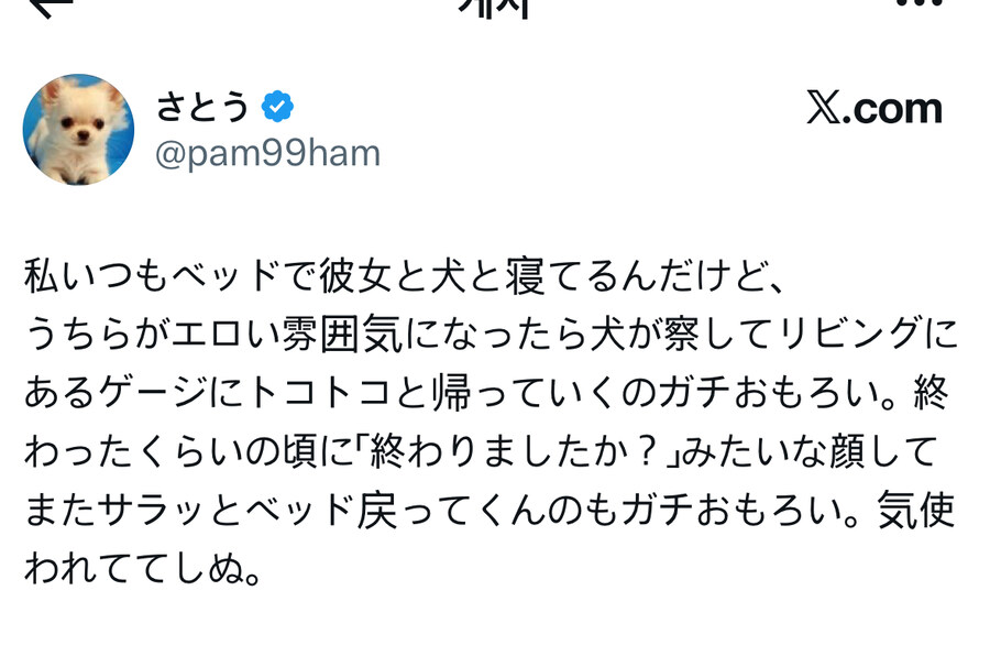 눈치가 비상한 댕댕이.jpg_1.jpg