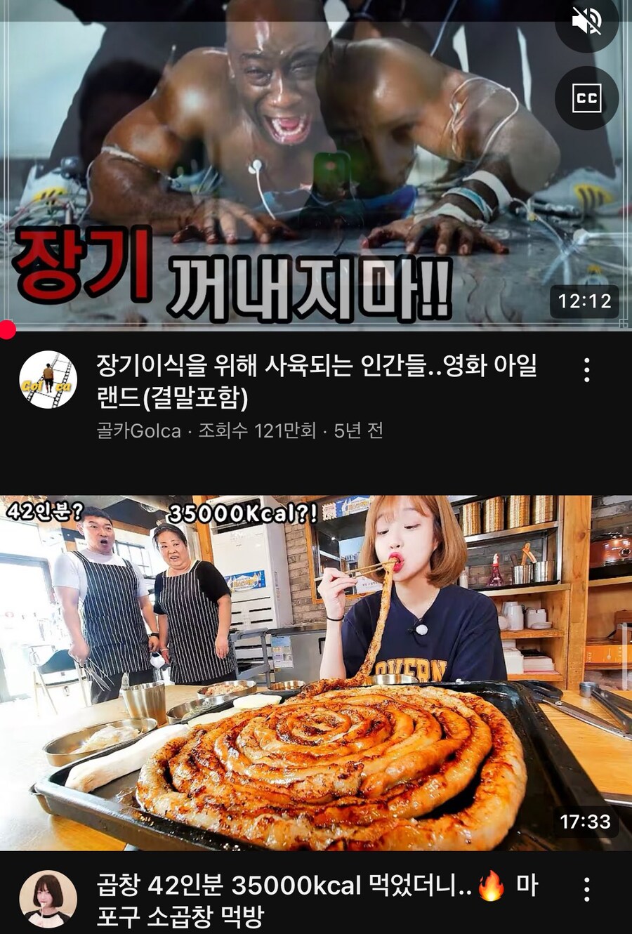 유튜브 알고리즘이 또..jpg_1.jpg