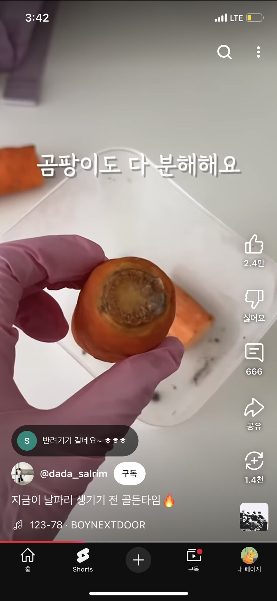 음식물 처리기 최대 단점_5.jpg