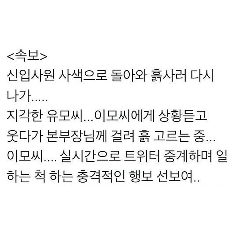 글만 봐도 쫄깃한 신입사원의 난_5.jpg