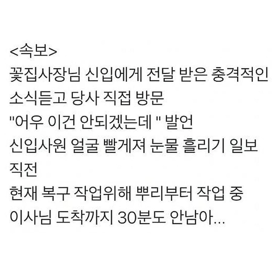 글만 봐도 쫄깃한 신입사원의 난_6.jpg