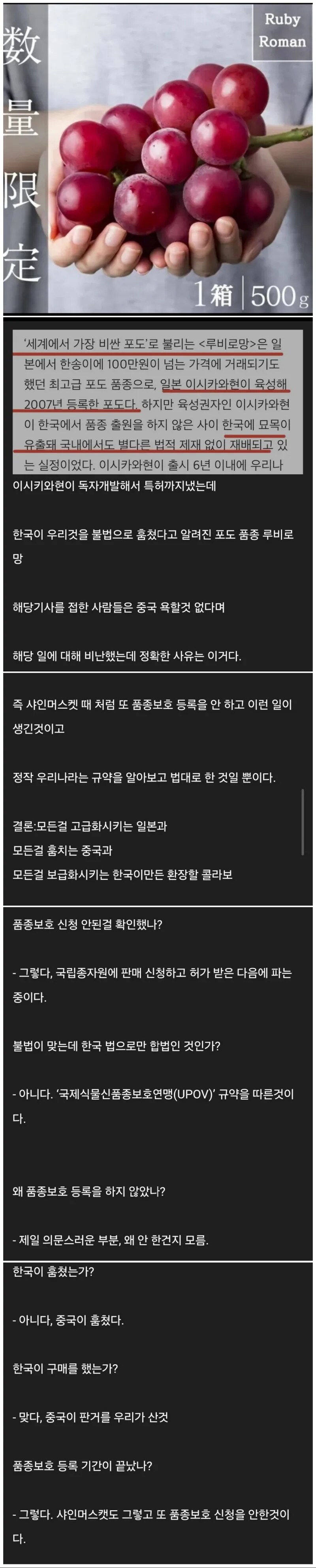제2의 샤인 머스켓 사태.jpg_1.jpg