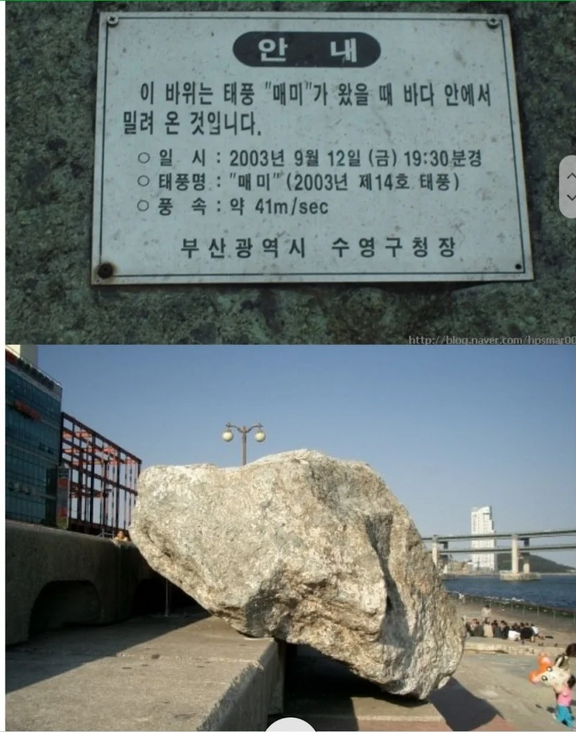 태풍 매미 레전드짤_1.webp