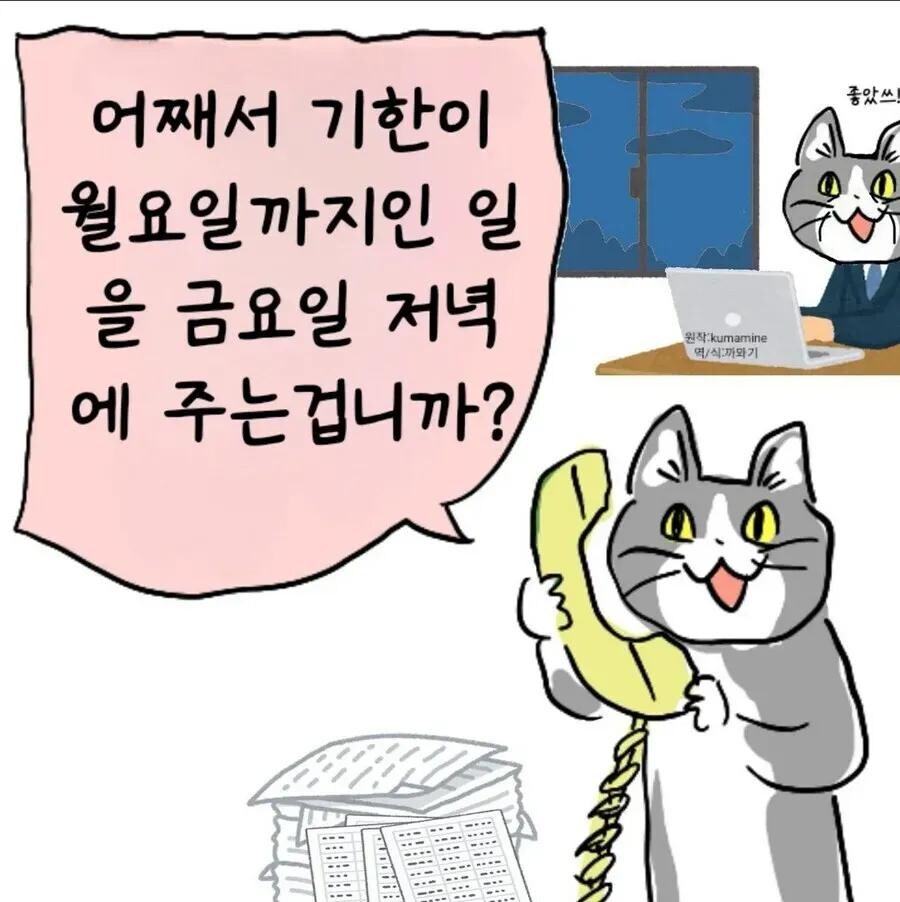 고양이 짤_1.jpg