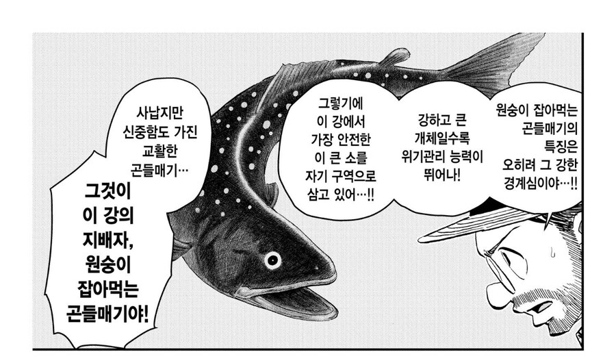 안녕 로보코 보면 드는 생각_8.jpg