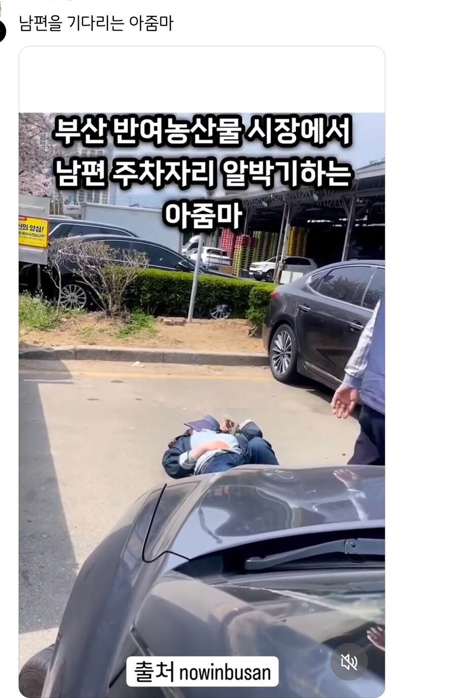 부산 반여농산물 시장 주차장 알박기 아줌마_1.jpg