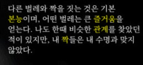 실크송)
