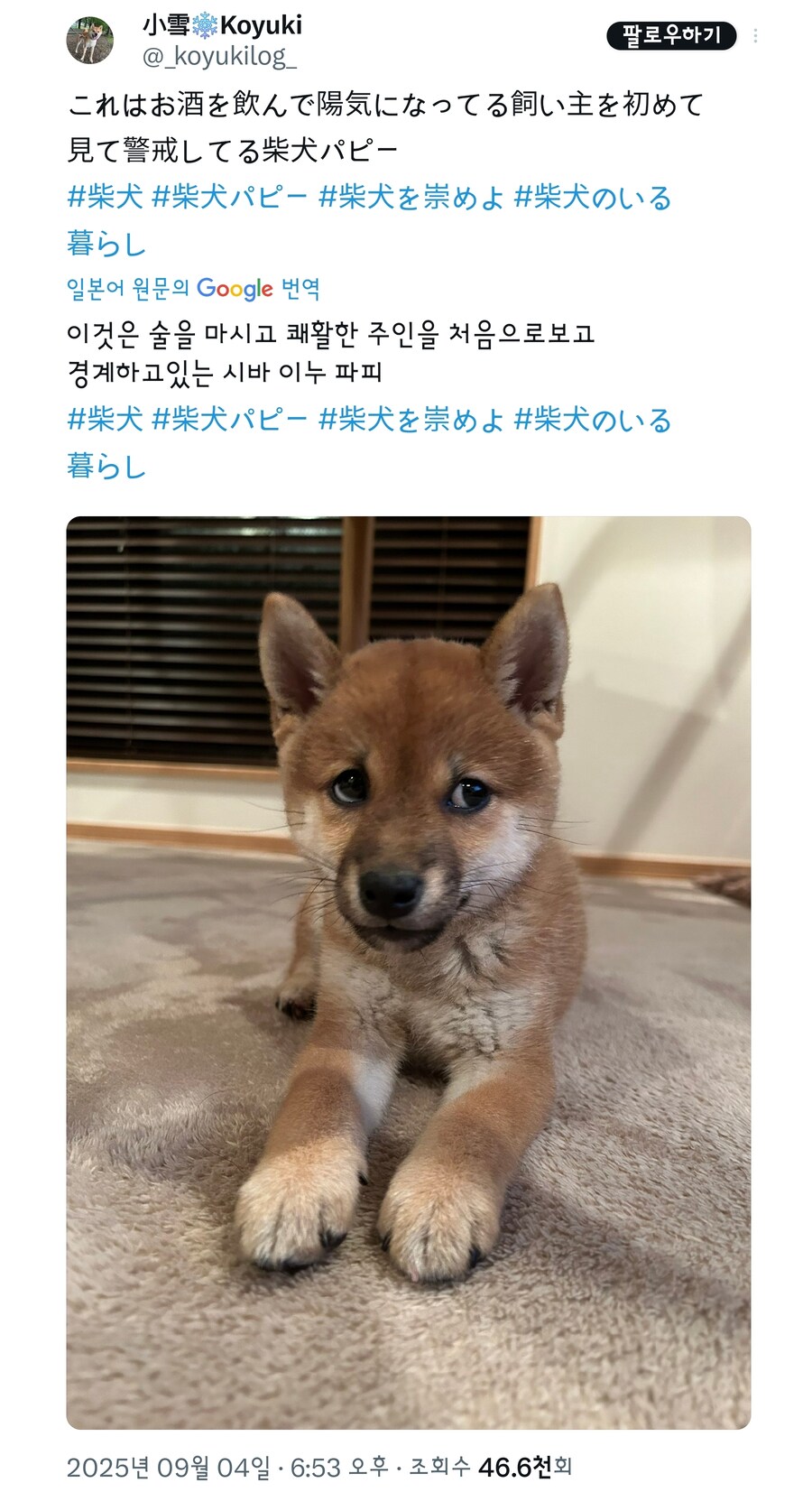 쭈인이 개같아.jpg_1.jpg