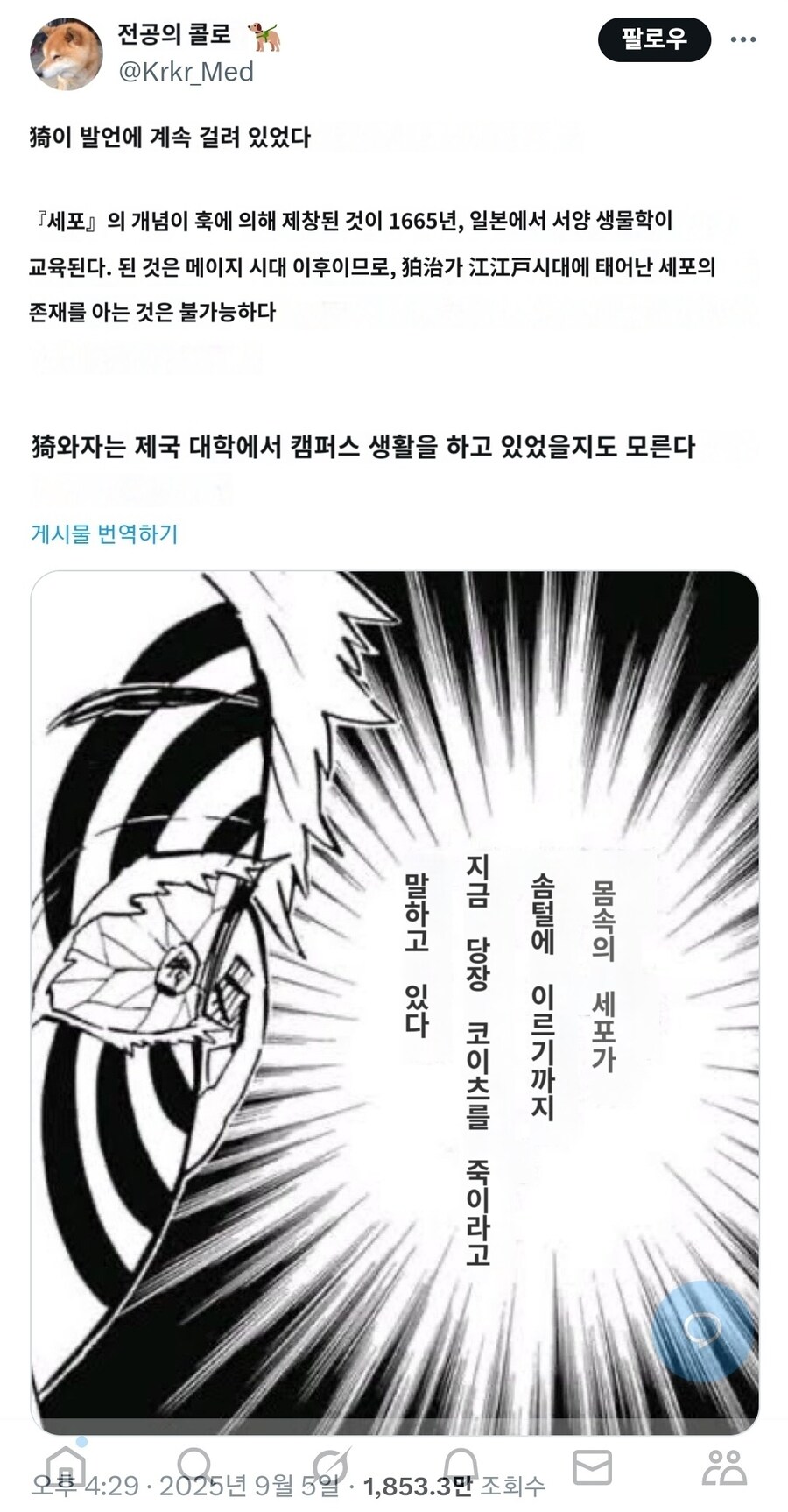 귀멸) 아카자에 대한 새로운 가설_2.jpg
