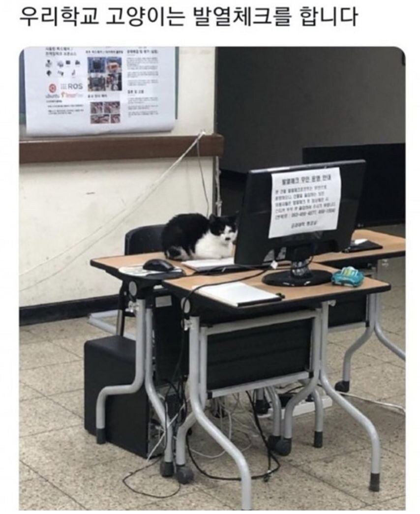 각 대학교별 고양이 자랑.jpg_4.jpg