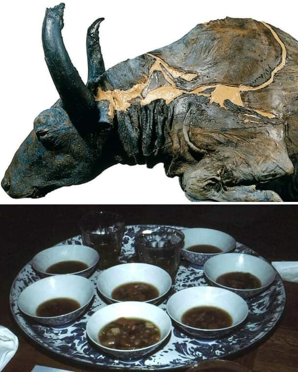 빙하 속에서 발견된 5만년 전 황소 시체를 본 과학자_1.jpg