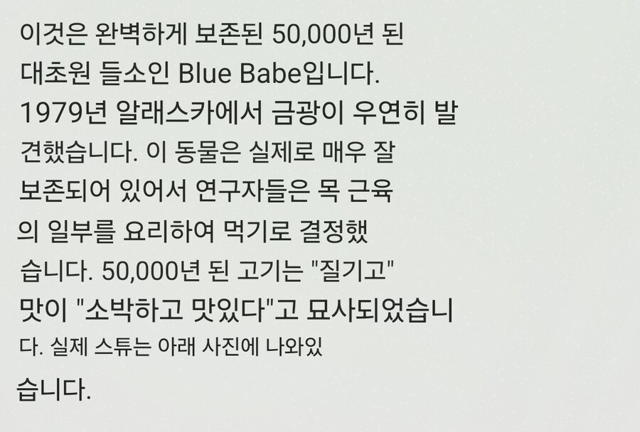 빙하 속에서 발견된 5만년 전 황소 시체를 본 과학자_2.jpg